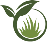 Tree Arborist Service Pros